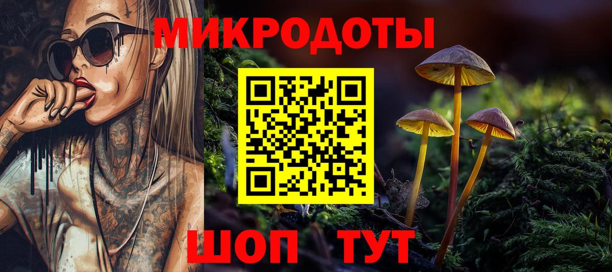где можно купить   Псилоцибиновые грибы мицелий  Вход с VPN  Камышлов 